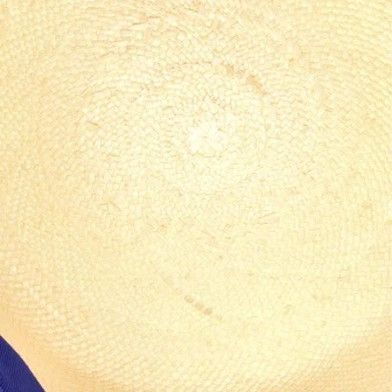 Watercolor Chapeau Summertime Straw Hat